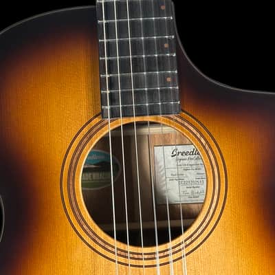 2022 Breedlove Organic Pro Solo CN CE Nylon String Classical w Built-in Electronics ~ Edgeburst image 8