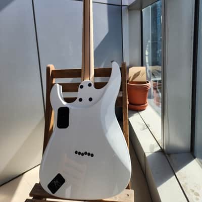 Caparison Dellinger-JSM Joel Stroetzel`21 image 14