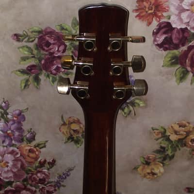 COPLEY CA-50 Acoustic Guitar image 6
