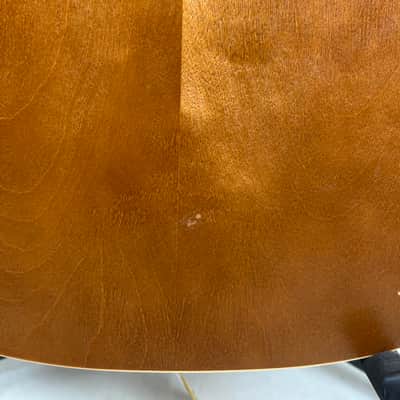 Seagull Entourage Rustic 2000s - Light Sunburst image 6