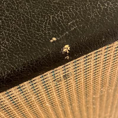 Fender Bassman VT 2x15" Guitar Speaker Cabinet - Silverface image 18