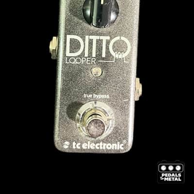 TC Electronic Ditto Looper-x19021 image 5