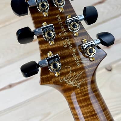PRS Paul Reed Smith Private Stock Custom 24 Vampire and Bats in Flight NEW! PS #10539 image 4