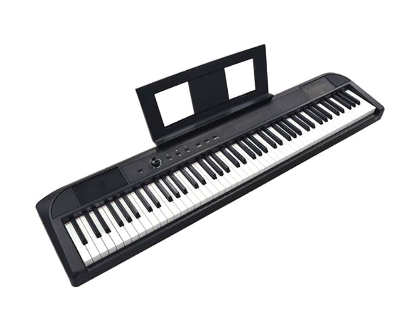 PIANO DIGITALE FBT ECHORD DP1 Black image 1
