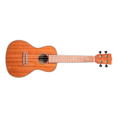 Gloss Mahogany Concert Kala image 7