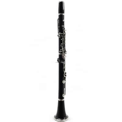 Buffet Crampon R13 Professional Bb Clarinet in Grenadilla SN 542908 image 11