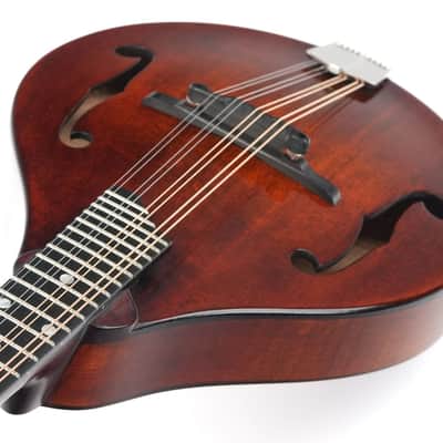 Eastman MD505CC/TV A Style Mandolin B-Stock image 9
