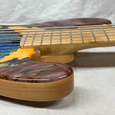 Maruszczyk Custom Jake TB 5p tb5p Thunderbird 5-string Bass with COA + Gig Bag 2025 - Living Color image 16