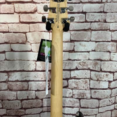 PRS SE Swamp Ash Special - Charcoal image 13