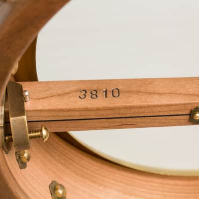 Pisgah Dobson 5 String Banjo (2025), ser. #3810 imagen 15