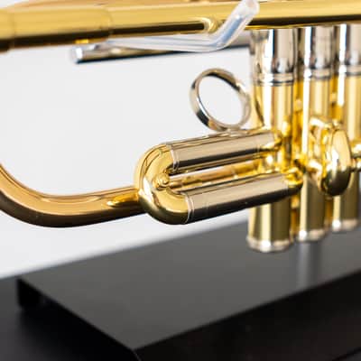 Yamaha YTR-8335IIRG Xeno Bb Trumpet with Reverse Leadpipe and Gold Brass Bell (SN 5768xx) image 8