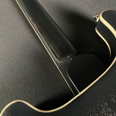 PRS SE Hollowbody Standard w/HSC - Dog Hair Smokeburst image 7