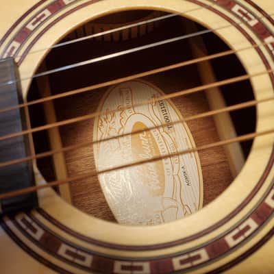 Washburn AGM5K G mini image 7