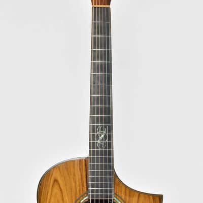 Ibanez EW50 CB NT Semi-Acoustic Guitar Occasion image 5