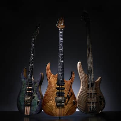 Ibanez IV1SR Visions SR Electric Bass 5-String + Case image 3