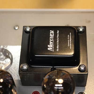 Li'l Dawg Amps 6G2 ChocoPrince combo 2025 image 11