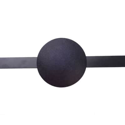 Weber 12" Beam Blocker 4" Dome Improve the Sound of Any Amp! Video Demo image 1