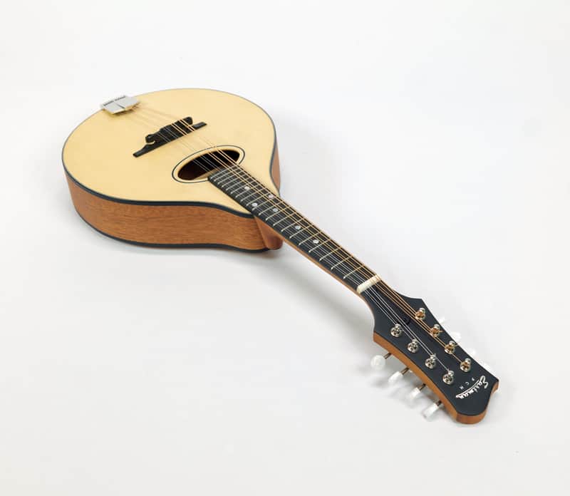 Eastman PCH-M104 Natural A-Style Mandolin Oval Soundhole #50598 @ LA Guitar Sales image 1