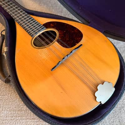 1919 Martin Mandolin {style A}  - excellent condition image 2