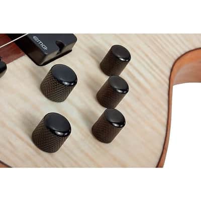 Schecter Schecter Guitar Research Charles Berthoud CB-6 6-String Electric Bass 2025 - Natural Satin image 9