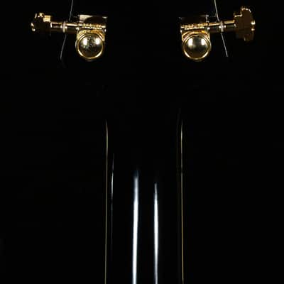 Gretsch G6134TG-LTD Limited Edition Penguin With String-Thru Bigsby Champagne Sparkle (332) image 7