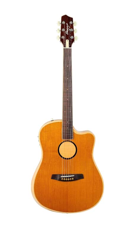 LR Baggs AEG-1 Torrefied Sitka Spruce Dreadnought Acoustic-Electric Guitar image 1