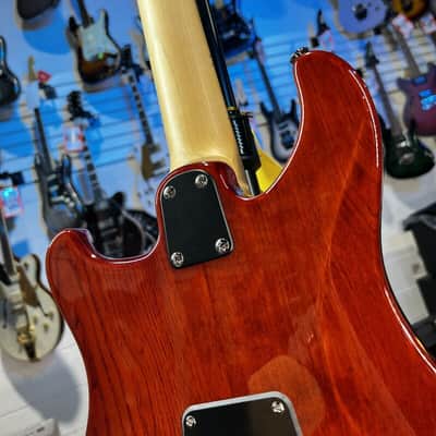 PRS SE Swamp Ash Special Electric Guitar - Vintage Sunburst,  Signature Dealer! 985 image 10