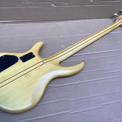 Samick Vintage 5 string bass 90’s / alembic construction style gorgeous wood image 13