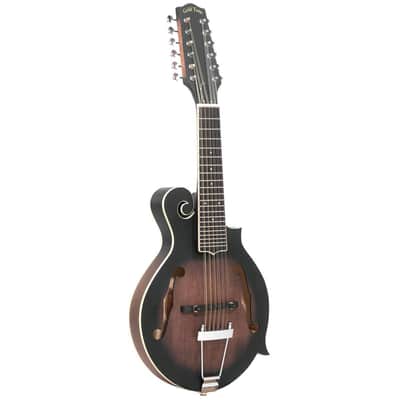 *DEMO* Gold Tone 12-String F-Style Mando Guitar w/ Hardshell Case image 1