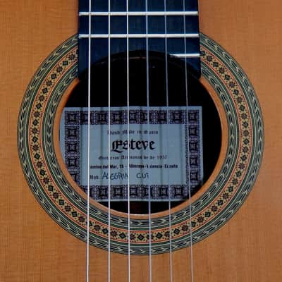 Esteve Alegria crossover cutaway / lattice braced / cedar top image 2