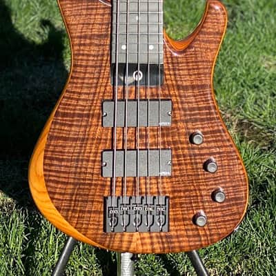 G.Gould GGi5 – Flame Walnut Top – Torrefied Pine Body – Graphite Composite Neck – 8.1 pounds – 1464 image 2