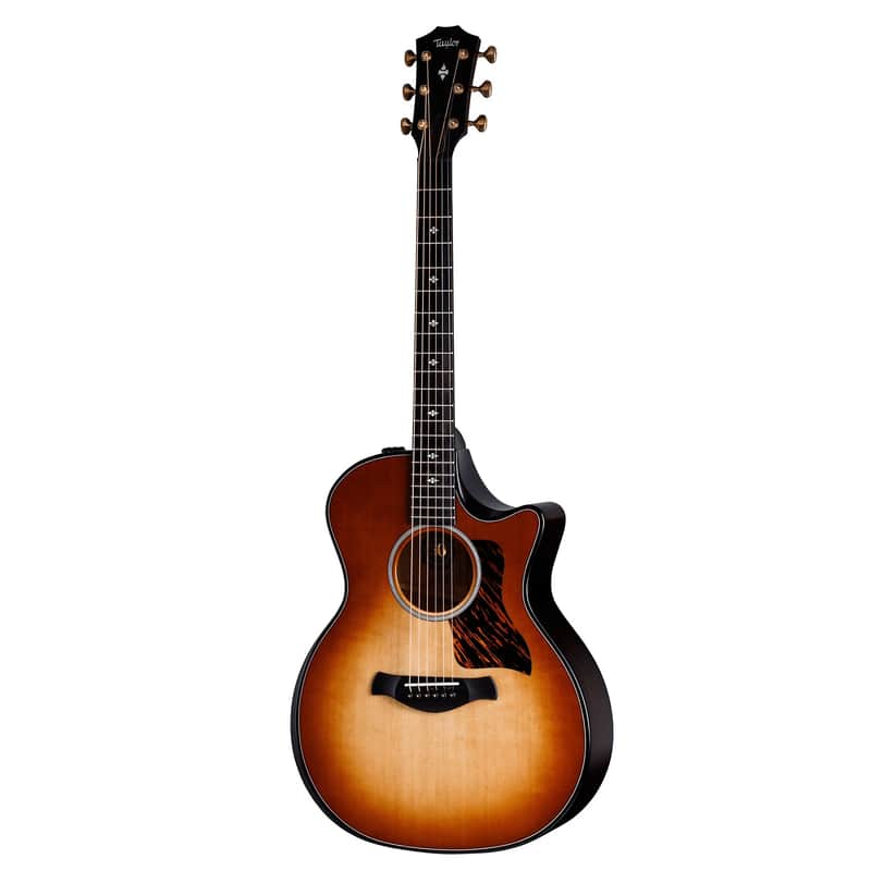 Taylor 50th Anniversary Builder's Edition 314ce LTD image 1