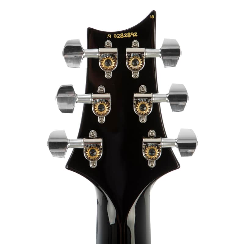 PRS Custom 24 Floyd 10-Top image 6