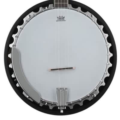 Washburn Americana B9 5-string Resonator Banjo image 2
