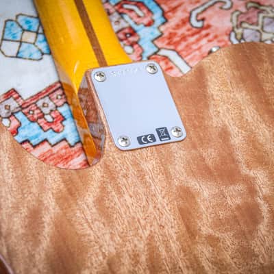 FENDER USA Custom Shop W-25 Dual Stack HS Telecaster Relic "3TSB Sparkle" (2025) image 20