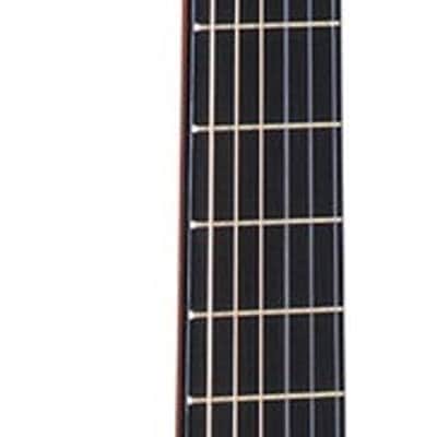 Oscar Schmidt OC11 Classical Guitar Natural Gloss image 6