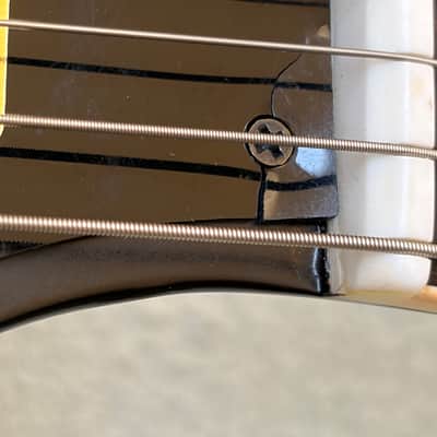 Johnny Winter Signature 1963 Firebird V Tom Murphy Aged Sunburst image 18