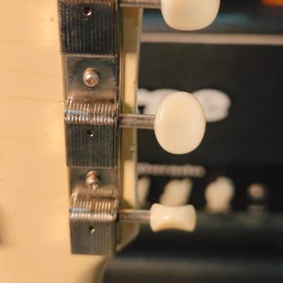 Gibson SG Junior 1967 White Refin image 19
