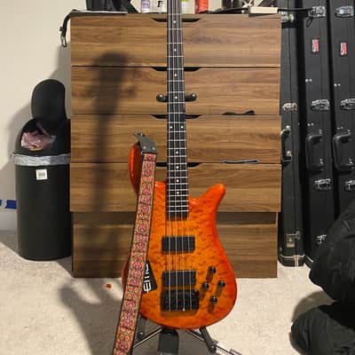 Spector Q4 Pro Heavily modified image 2
