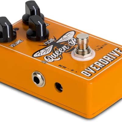 Caline CP-503 Queen Bee Overdrive 2024 - Orange image 2