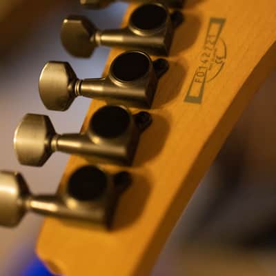 Ibanez NECK RG570 2002 image 5