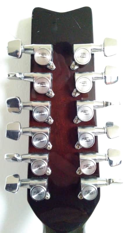 Washburn Woodstock 12-A | Reverb