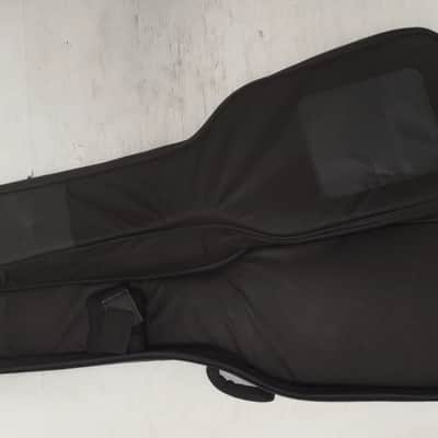Godin Radium image 14
