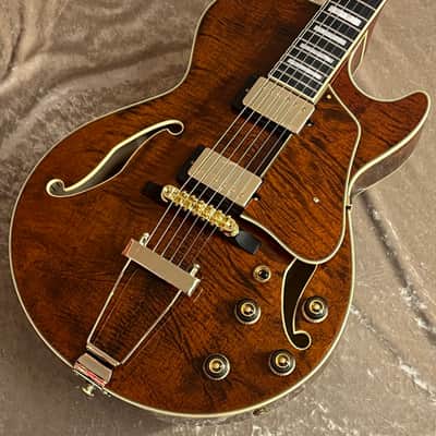 Ibanez 【NEW】Artcore Expressionist AG95MG DA Dark Amber sn PW25120028 [GTK017]