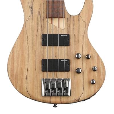 ESP LTD B-204SM Fretless Bass Guitar - Natural Satin image 2