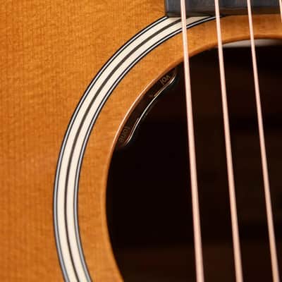 Taylor Gold Label 517e Grand Pacific Acoustic/Electric Guitar - Sunburst with Firestripe Pickguard and Hardshell Case image 10