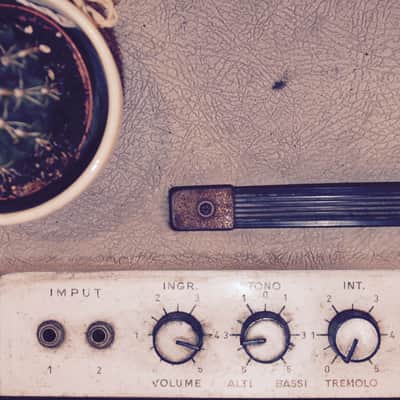 1960's / Ariston Castelfidardo W12 / Vintage Tube Amp / Made in Italy image 2