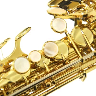 【Special price】 Yanagisawa S-WO1 (SWO1) Professional Soprano Saxophone image 10