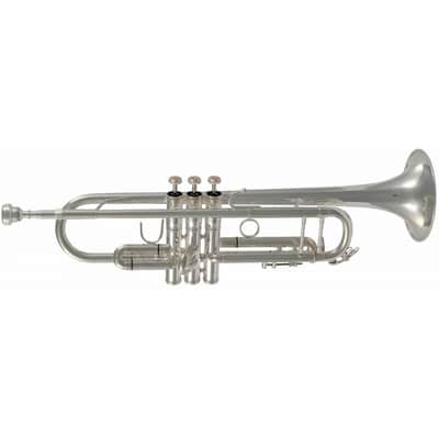 SML Paris VSM TP500S Tromba in Si b Débutant image 3