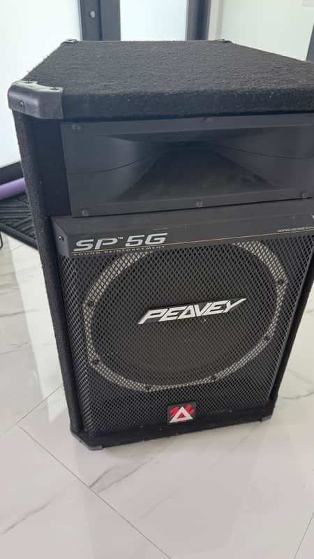 Peavey - SP5G - 1x15 Passive Bi-Amped PA Speaker - 8 OHms, 1000 Watts - x7254 - USED image 1